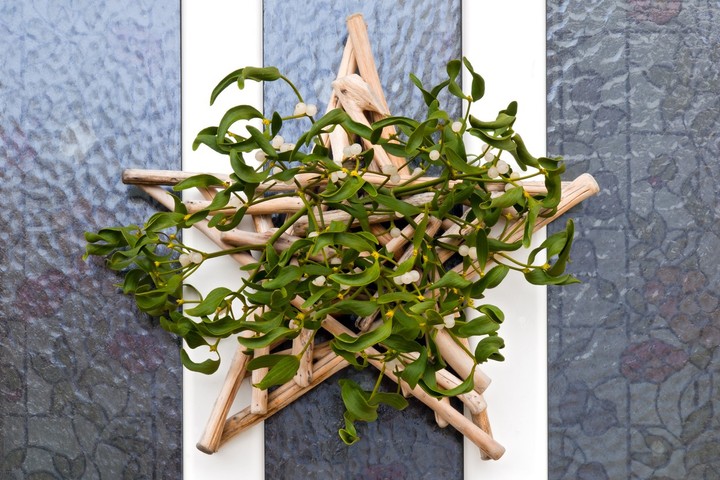 Nova zahrada - imelo